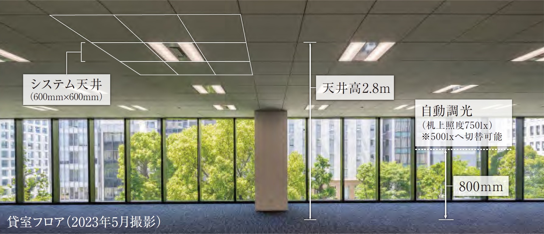 貸室フロア(2023年5月撮影)